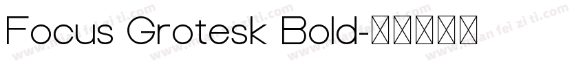 Focus Grotesk Bold字体转换